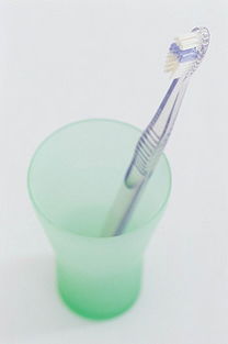 生活日用品素材全攻略 從圖片、背景到模板的一站式解決方案