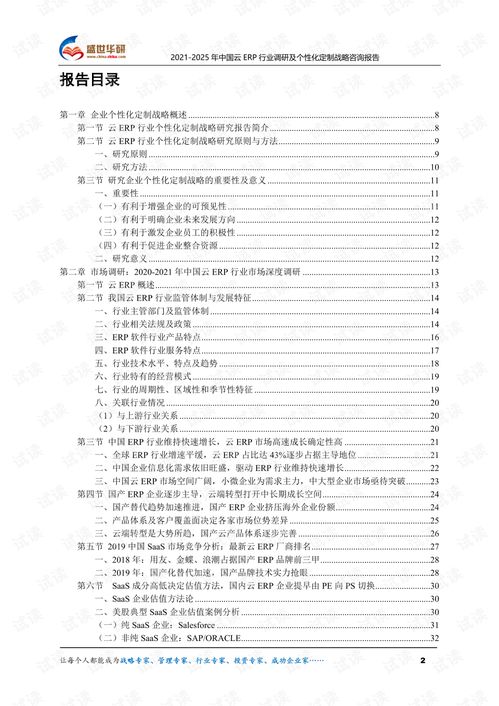 2021 2025年中國云erp行業調研及個性化定制戰略咨詢報告.pdf