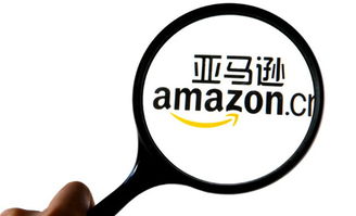 各有各的招 亞馬遜和京東哪個(gè)電商更 閃電